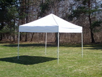 canopy size 10x10 price $80.00